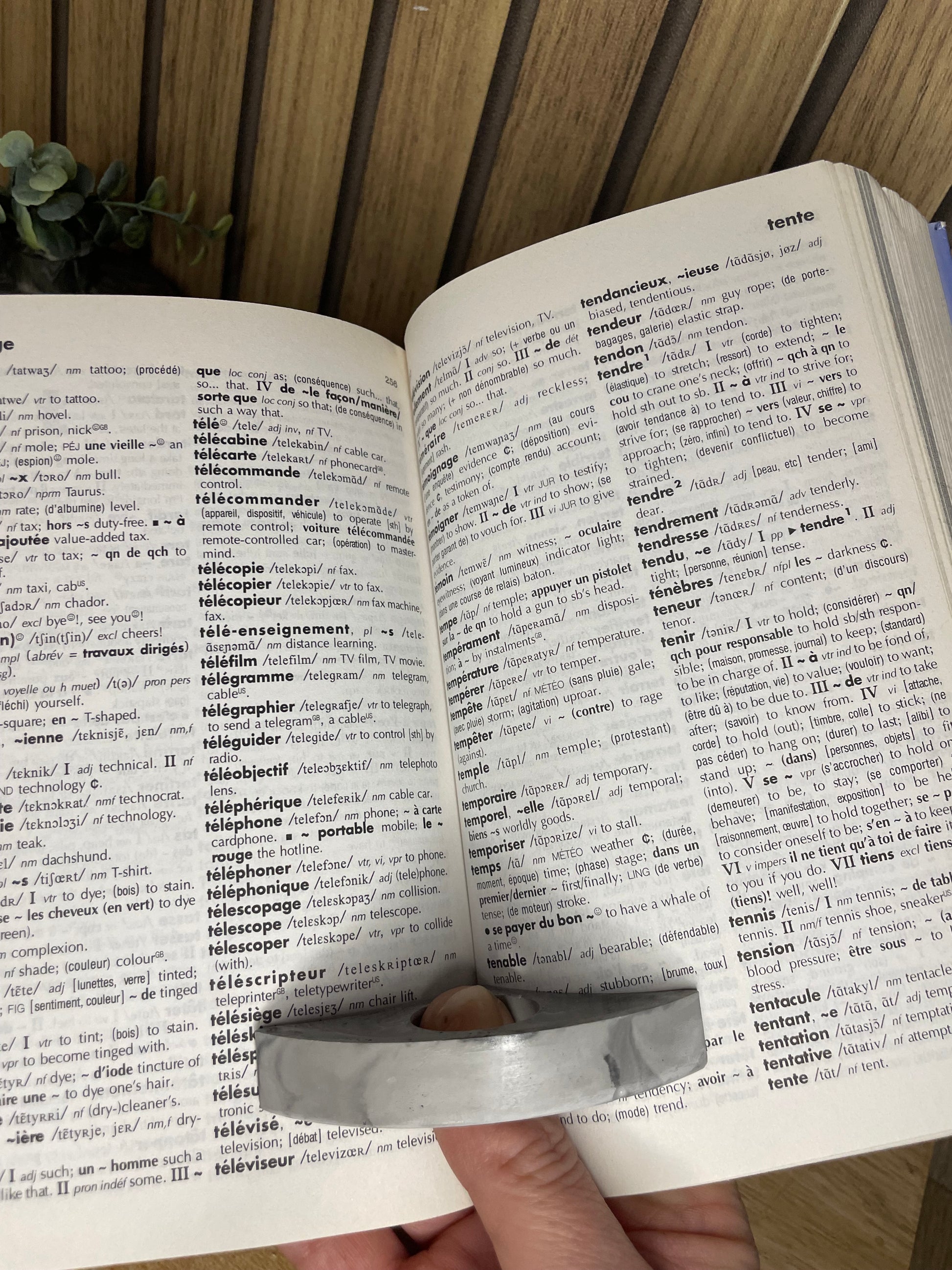 Bague de lecture effet Terrazzo accessoires pour livres