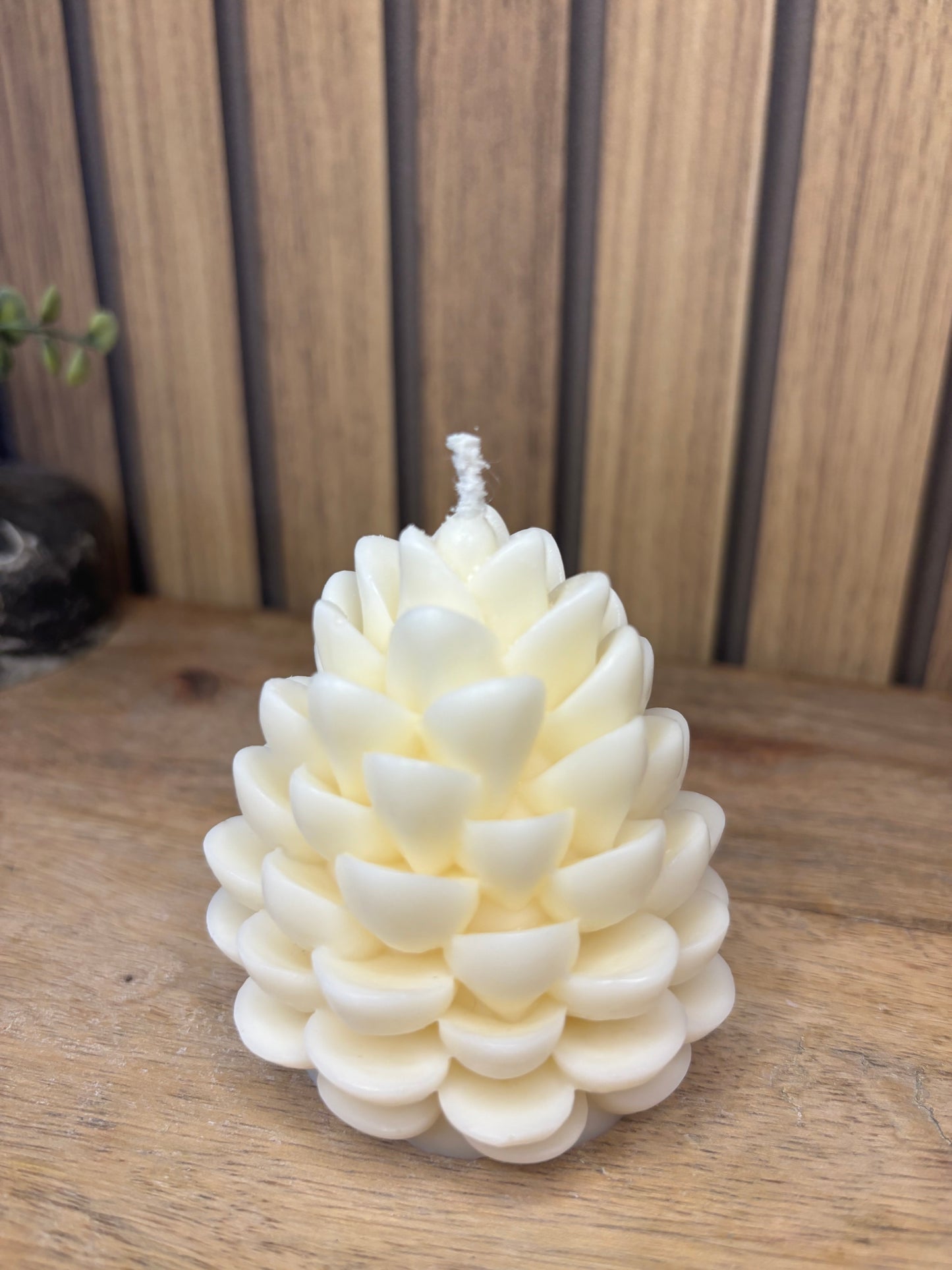 Bougie. Décoration de Noël. Idée cadeau. Sapin. Père Noël. Pomme de pin. Aiguilles de sapin. Baies.  Artisanat. Artisan. Petit créateur.