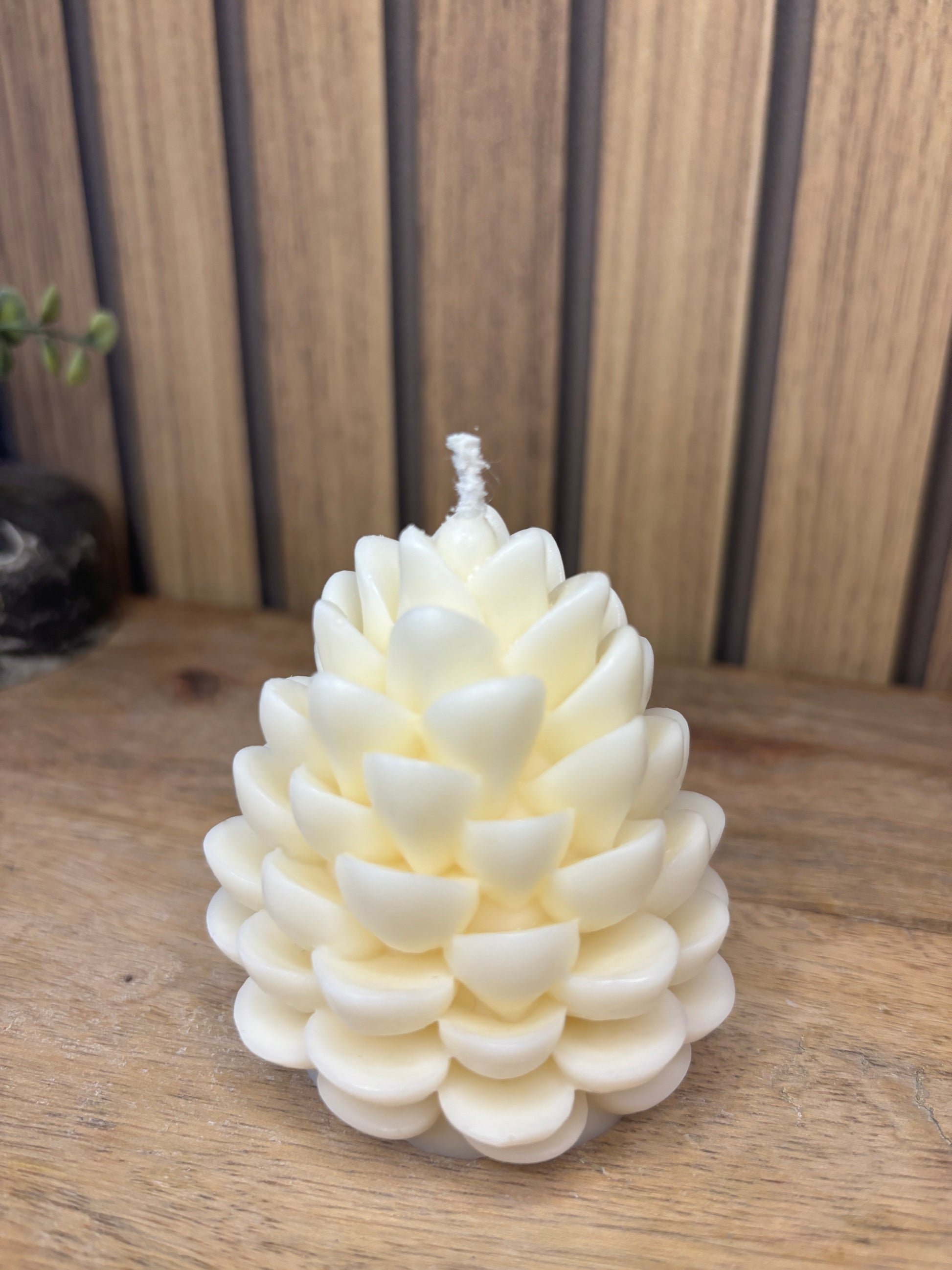 Bougie. Décoration de Noël. Idée cadeau. Sapin. Père Noël. Pomme de pin. Aiguilles de sapin. Baies.  Artisanat. Artisan. Petit créateur. 