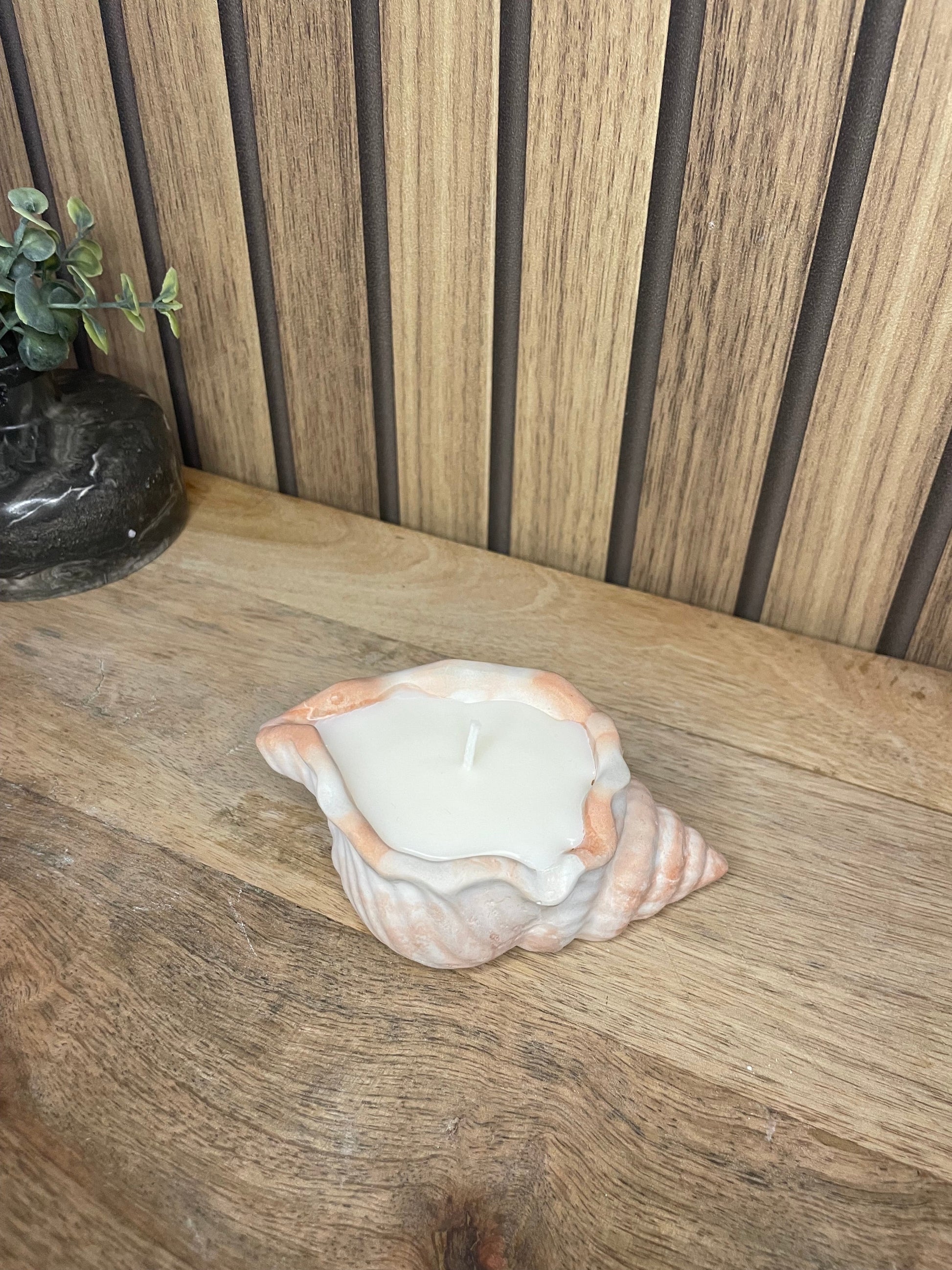 Bougie parfumée coquillage personnalisable 